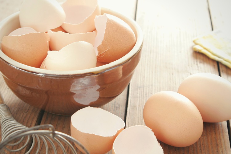 What to do with egg shells