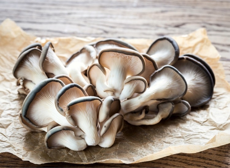 Oyster mushrooms on paper sheet