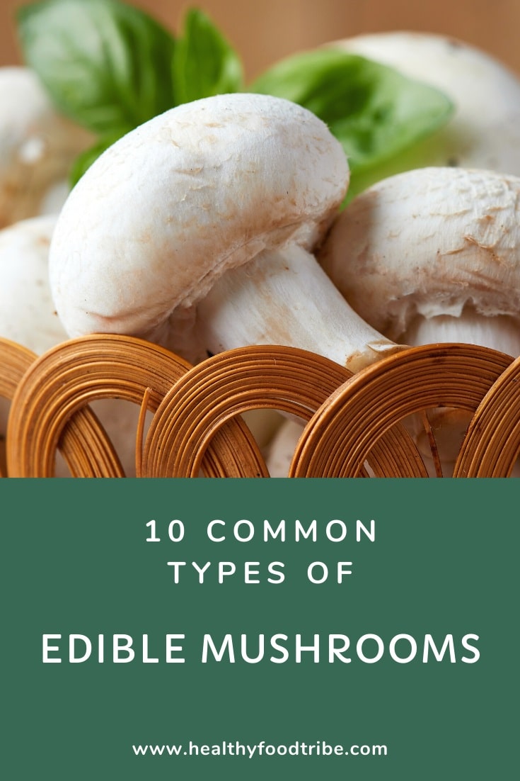 10 Common types of edible mushrooms