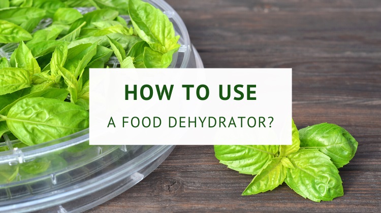 What is a food dehydrator?