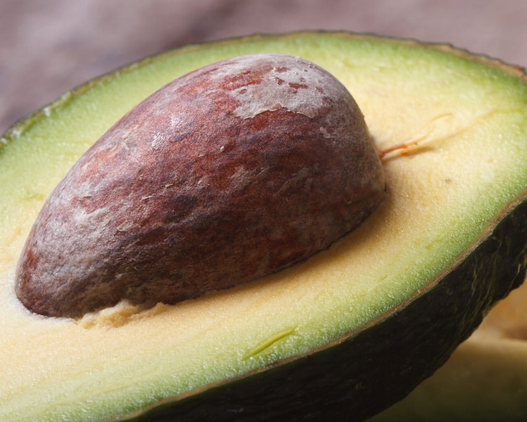 Avocado seed