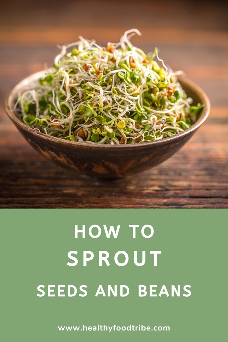 How to sprout seeds and beans (guide)