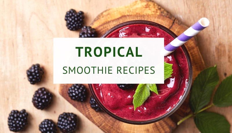 Tropical smoothie recipes