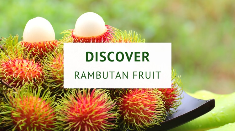 What is rambutan fruit? (origin, nutrition and benefits)