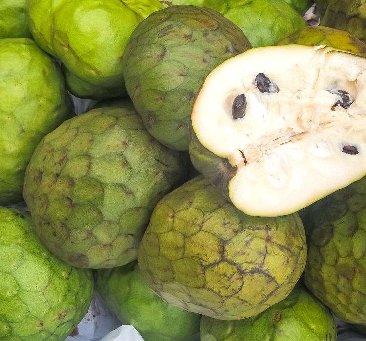 Cherimoyas