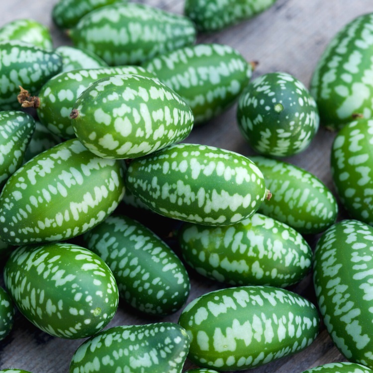 Cucamelons