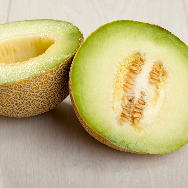 Honeydew melon