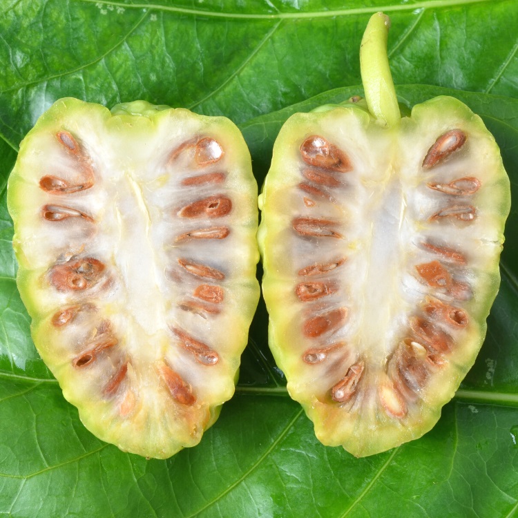 Noni fruit with seeds