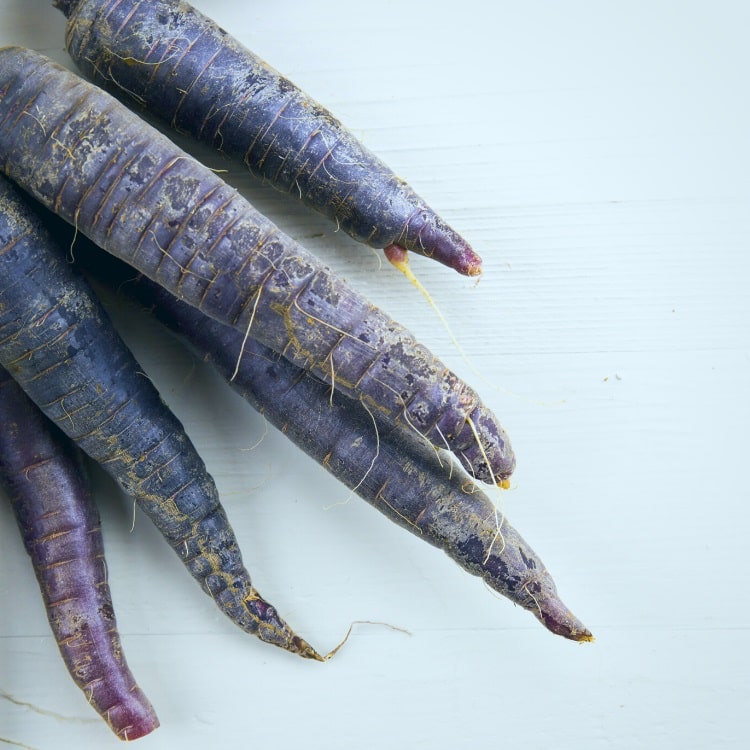 Blue Carrots