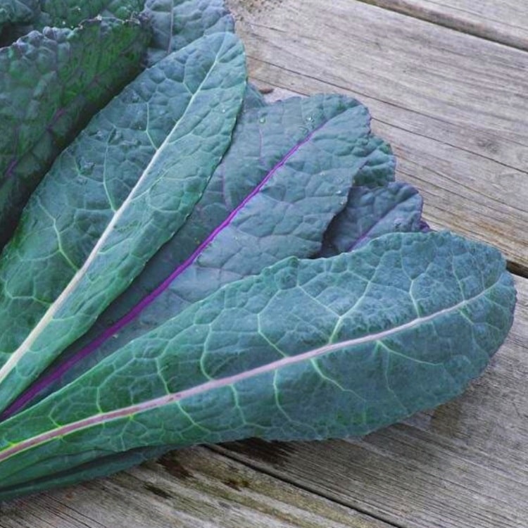 Blue Kale