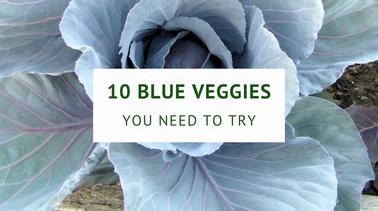 Blue vegetables