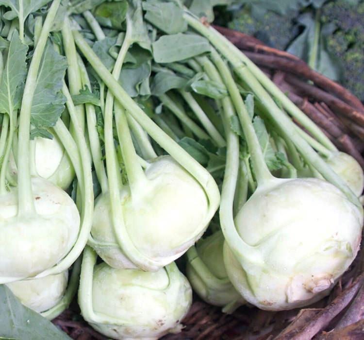 Kohlrabi