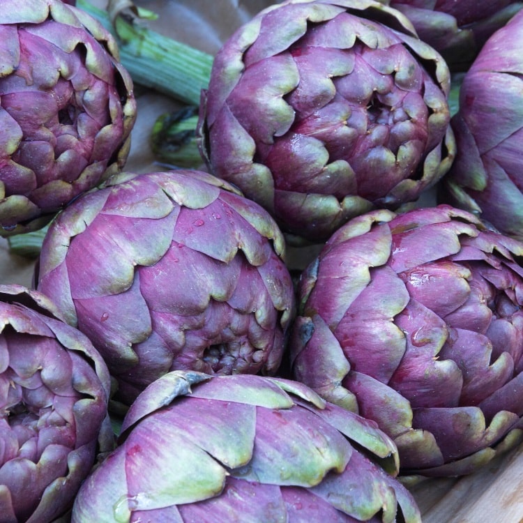 Purple Artichokes