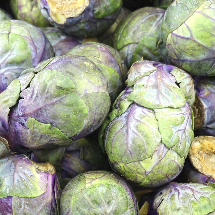 Purple Brussels Sprouts