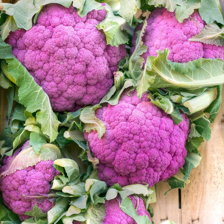 Purple Cauliflower