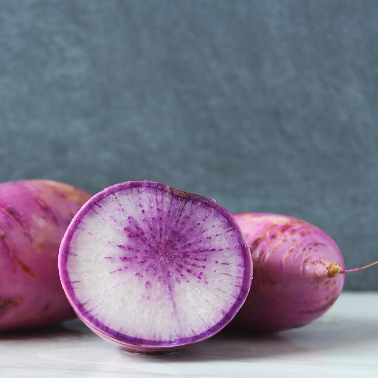 Purple Radish