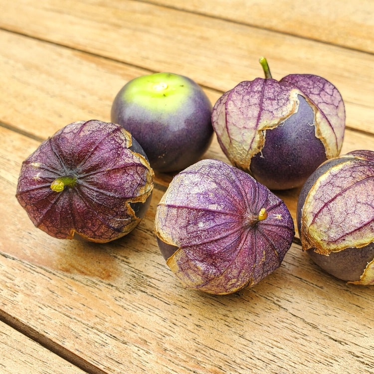 Purple Tomatillos