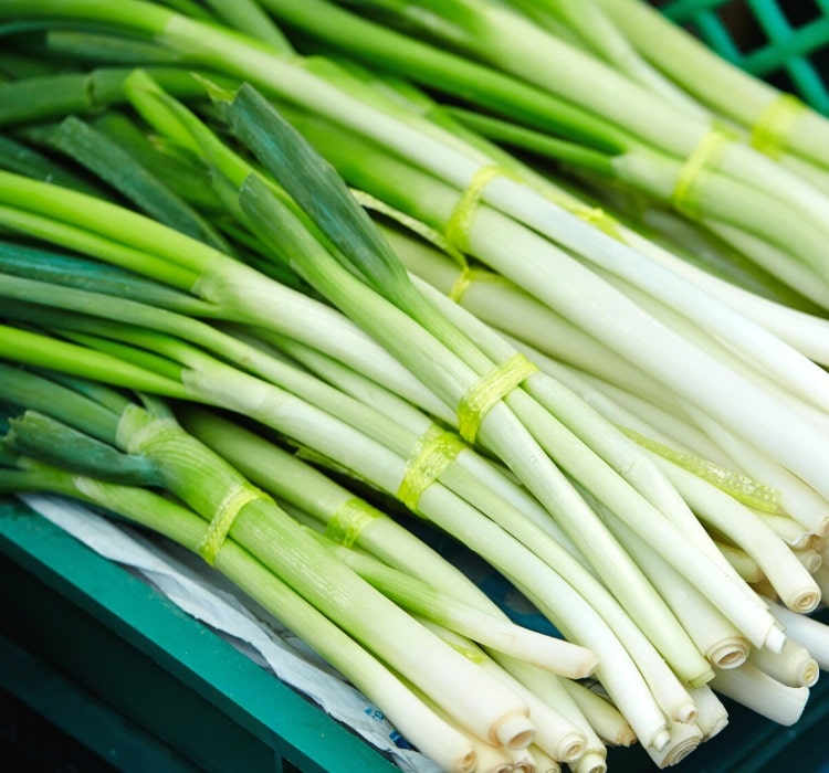 Spring onions