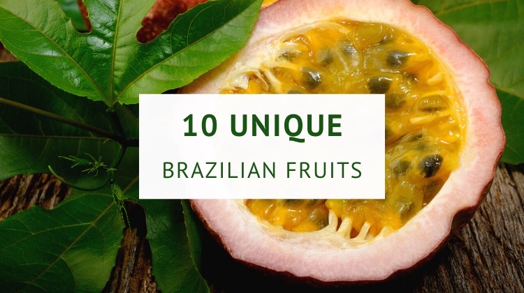 Brazilian fruits