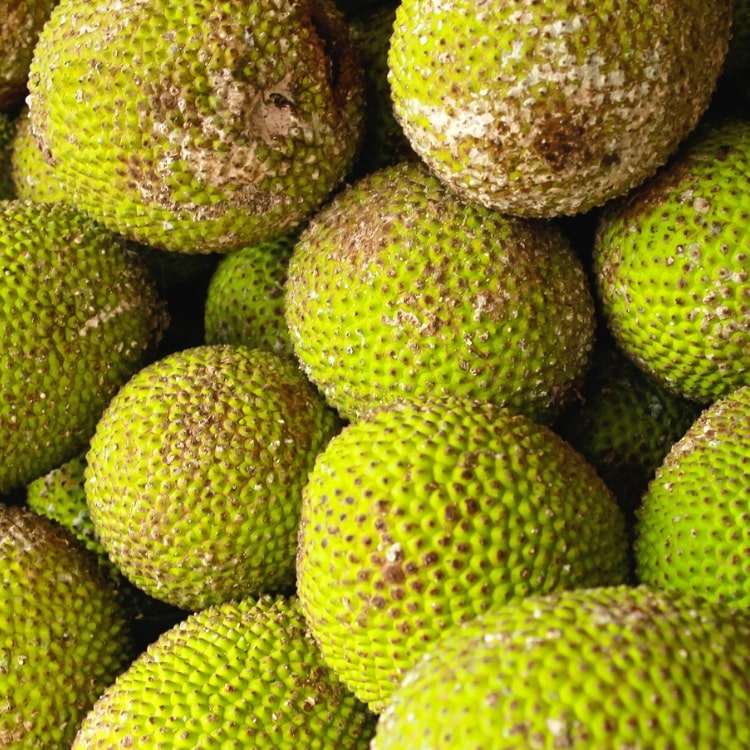 Ulu (also known as breadfruit)