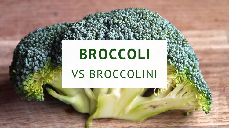 Broccoli vs broccolini (differences and varieties)