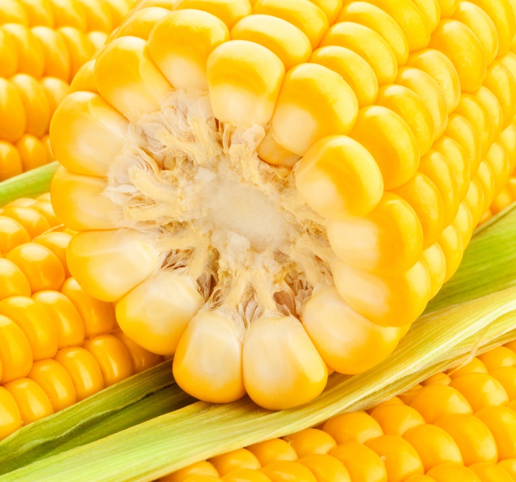 Corn