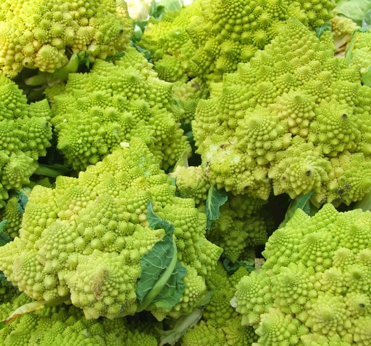 Romanesco broccoli