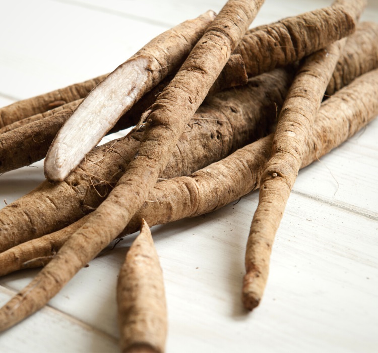 Burdock root