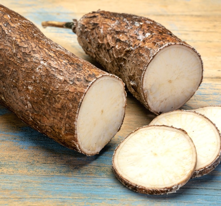 Cassava