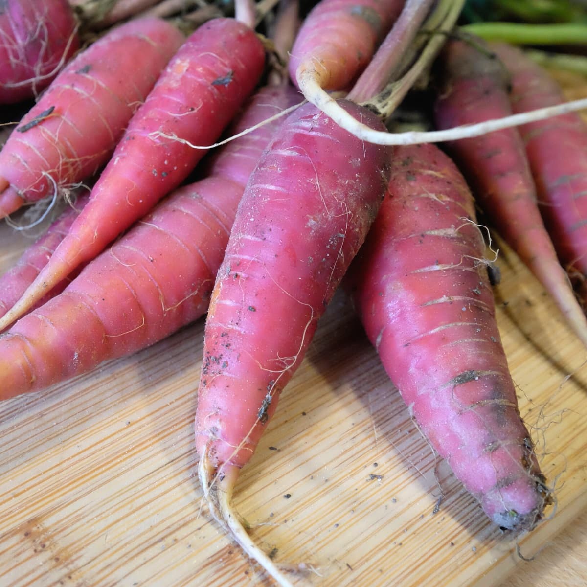 Red carrots