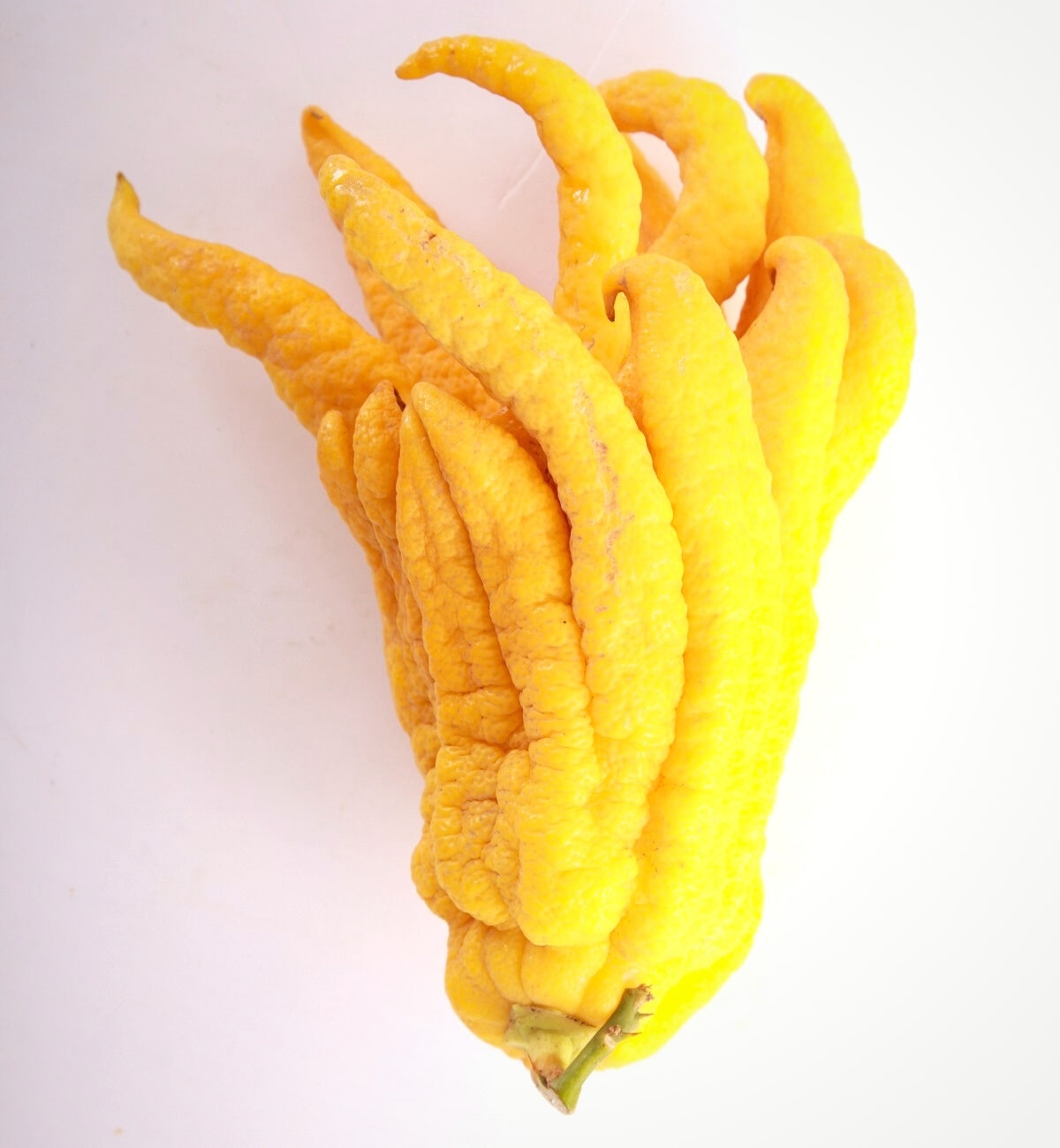 Buddha's hand (fingered citron fruit)