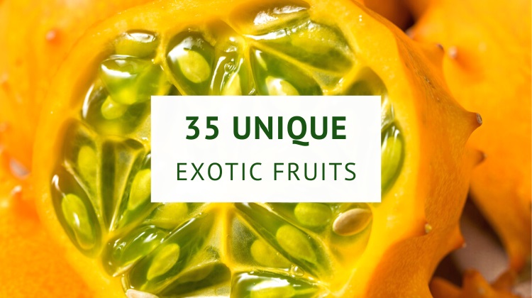 Exotic fruits list
