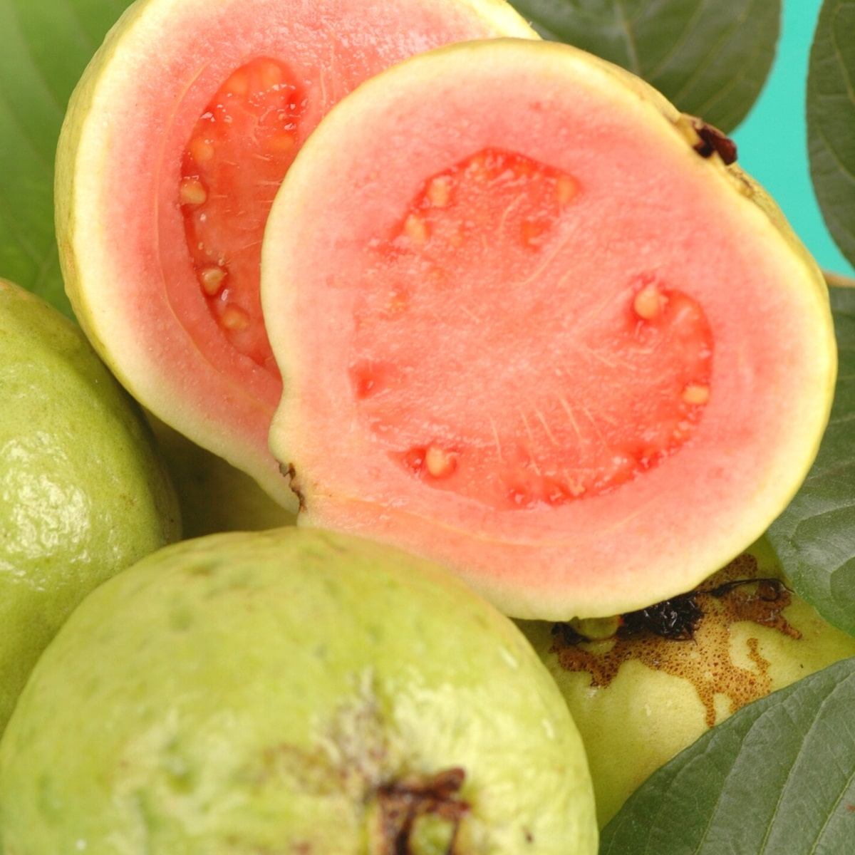 Guava flesh
