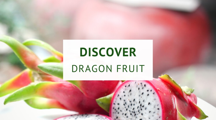 What is dragon fruit (aka pitaya)