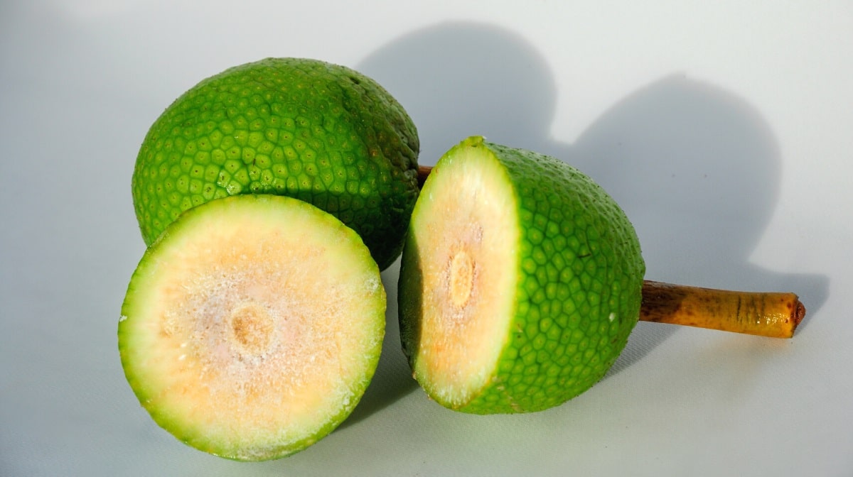 How to eat breadfruit