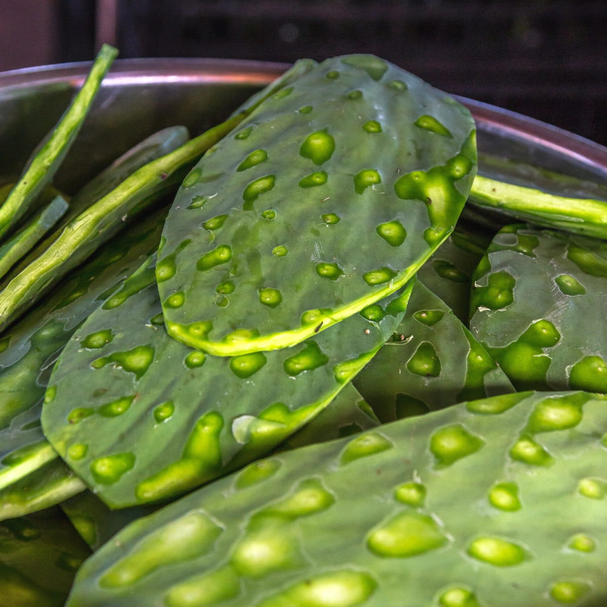 Nopales with cut edges and spines