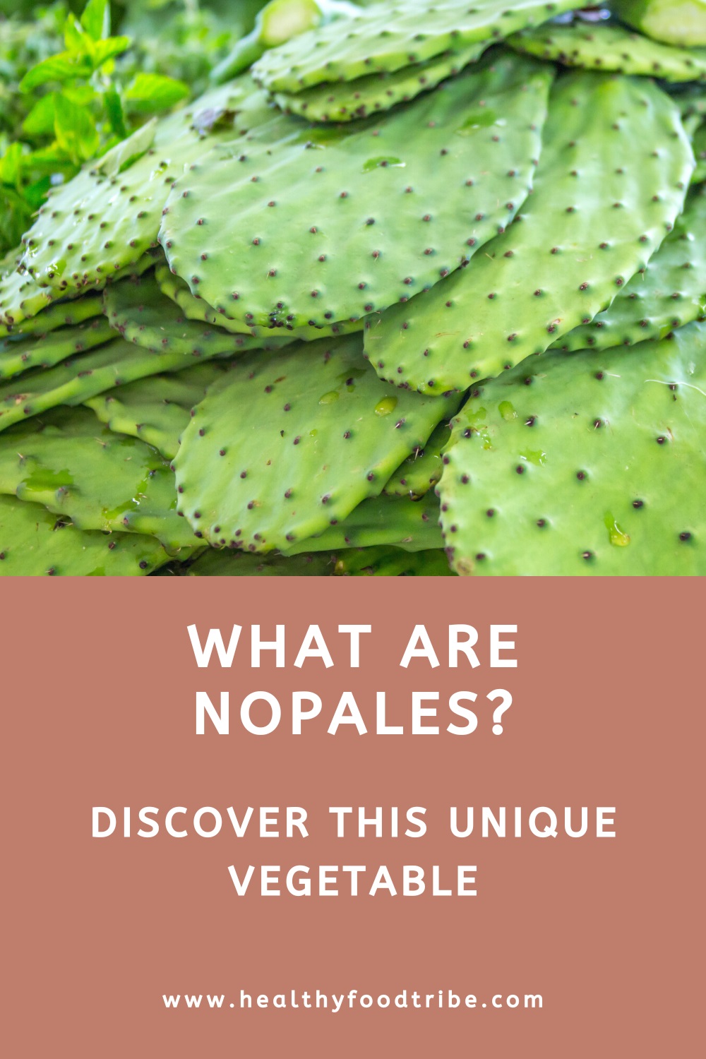 What are nopales? (origins, nutrition and benefits)