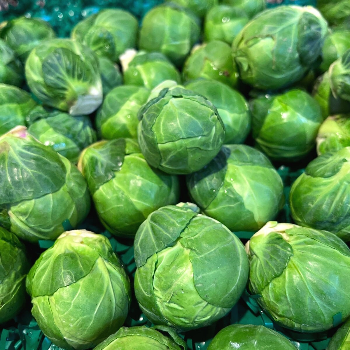 Brussels sprouts