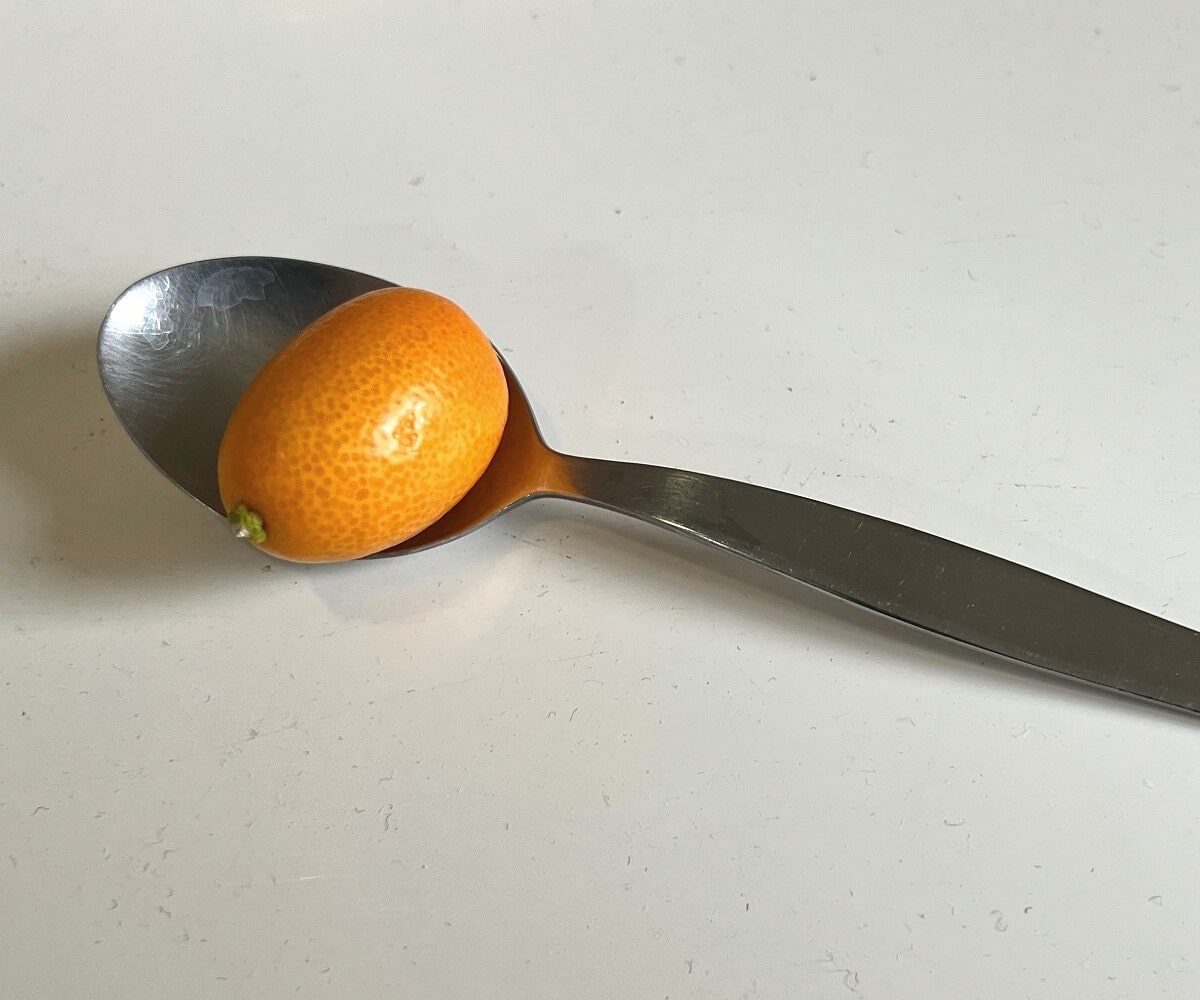 Kumquat on teaspoon