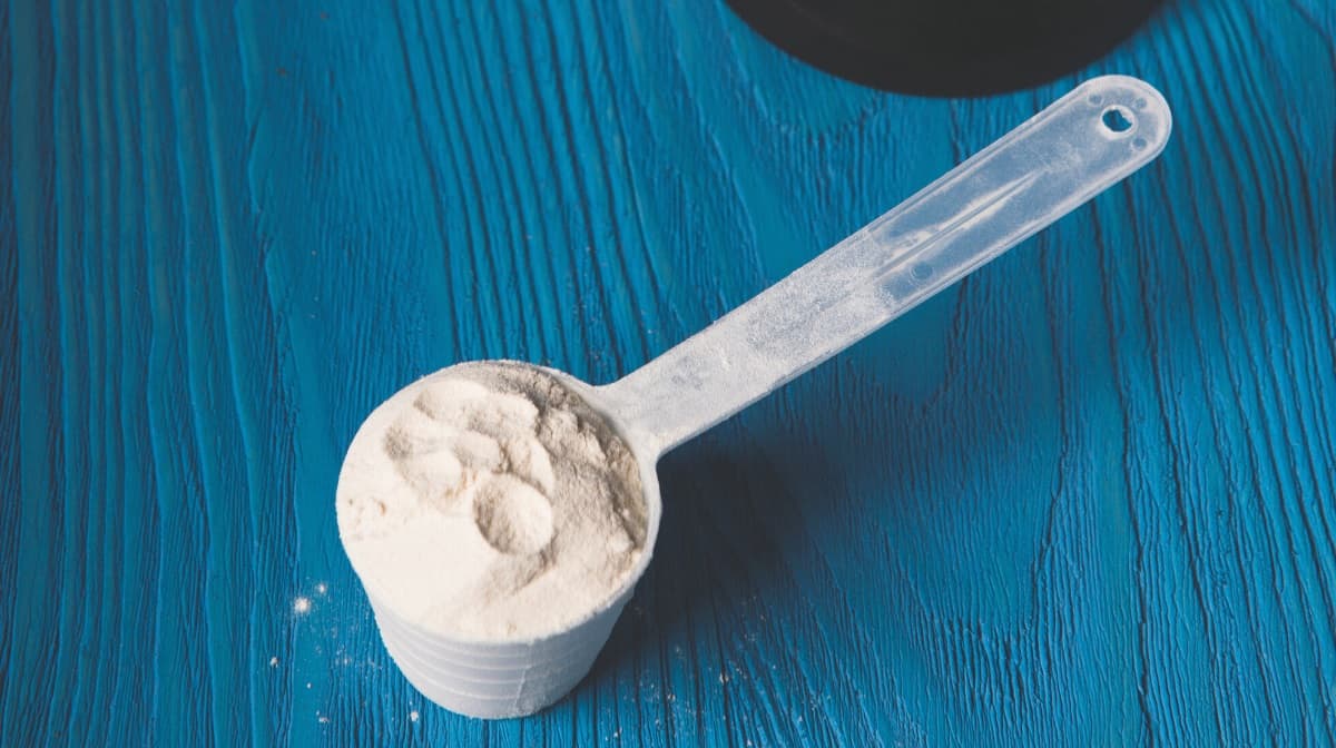 Best all natural whey protein powder supplements
