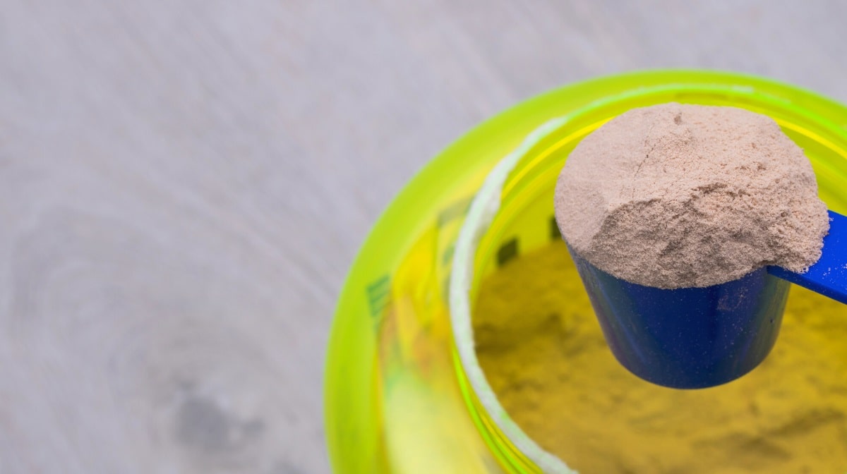 Does whey protein make you fat or gain weight?