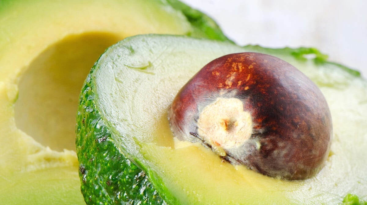 Can you eat avocado seeds?