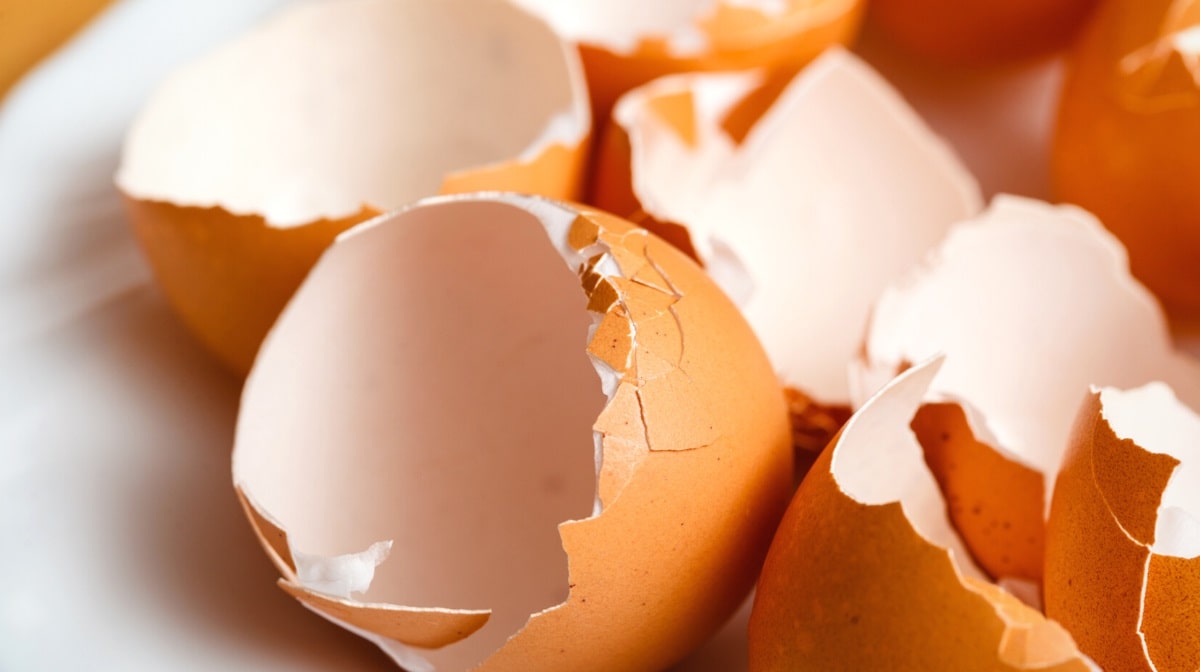 Can you eat eggshells for calcium?