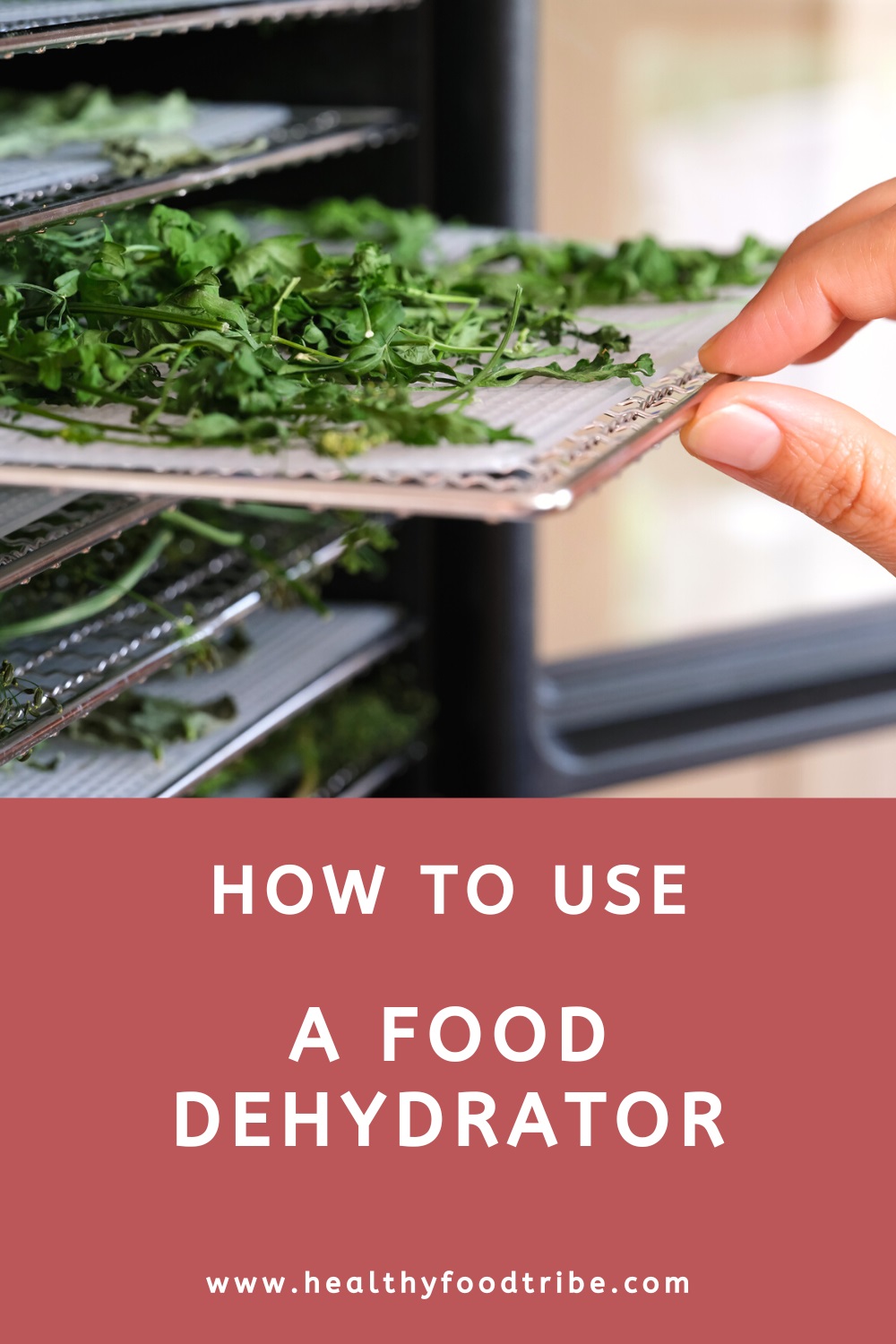 How to use a food dehydrator