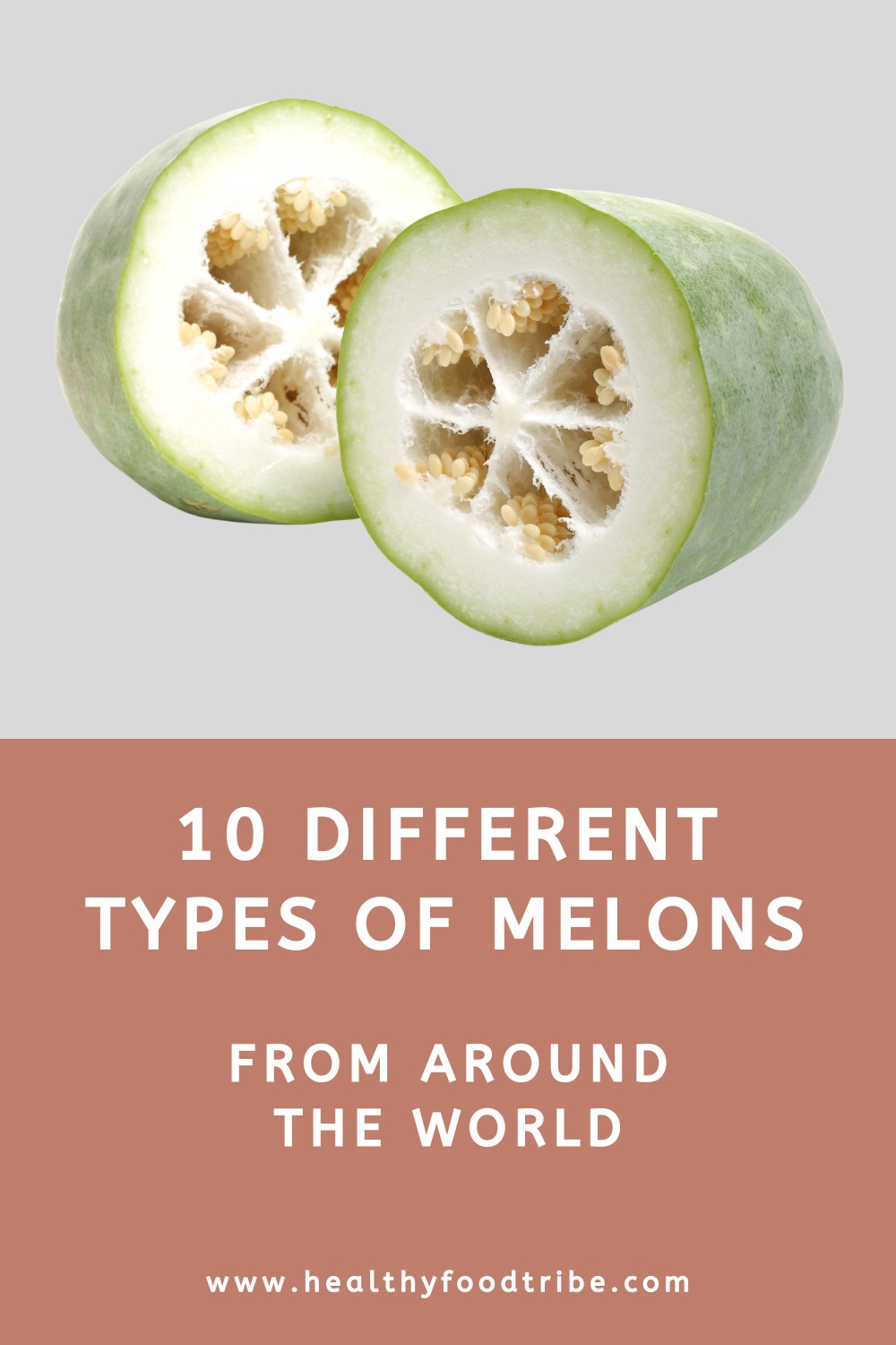 10 Different types of melons from around the world