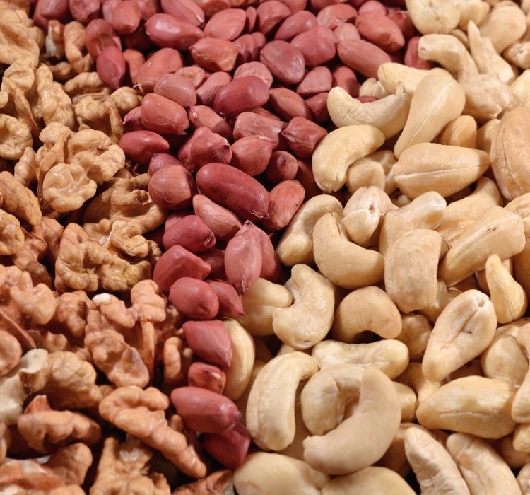 Different types of nuts