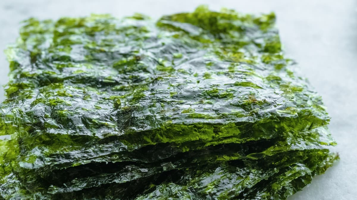 Discover roasted seaweed