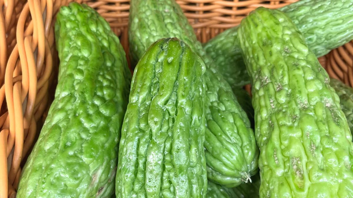 What Is bitter melon? (aka karela and bitter gourd)