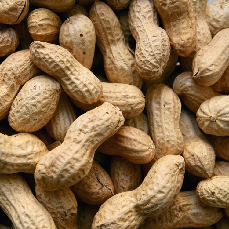 Peanuts