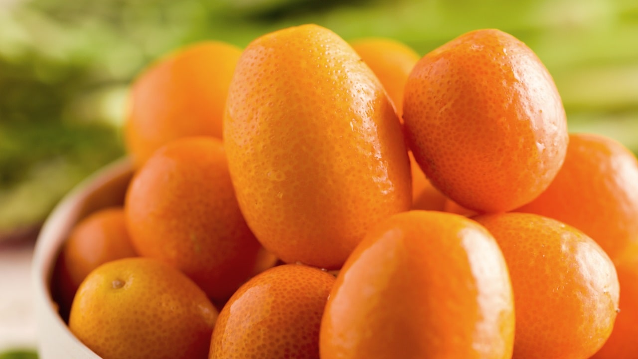 What is a kumquat fruit? (origin, nutrition and benefits)